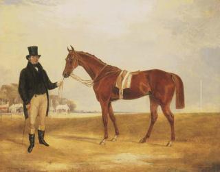 Francis Calcraft Turner - Zillot, a Chestnut Racehorse, held by his owner, Mr. F.R. Price on a racecourse