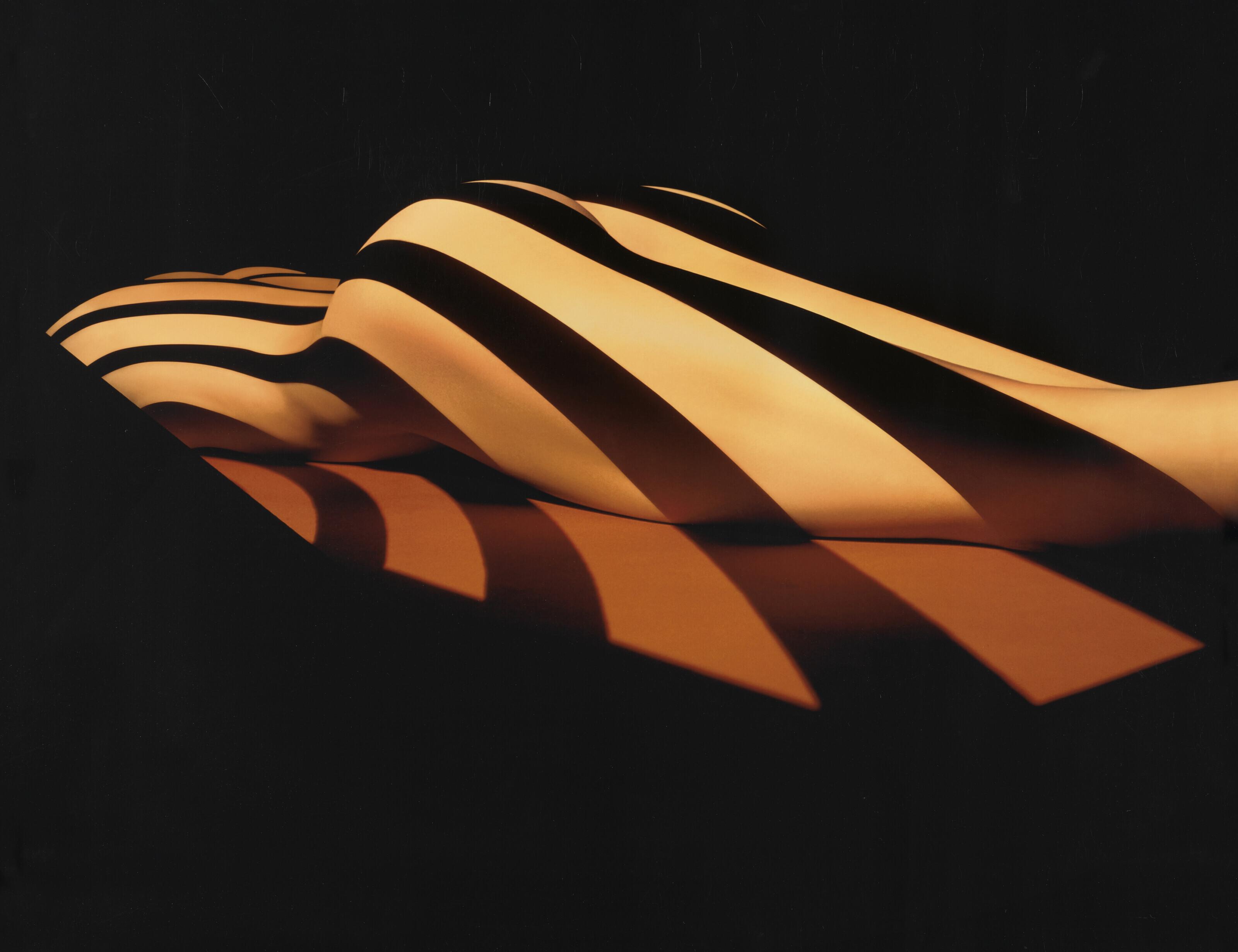 Francis Giacobetti - Zebra 03, Paris Studio, 2000