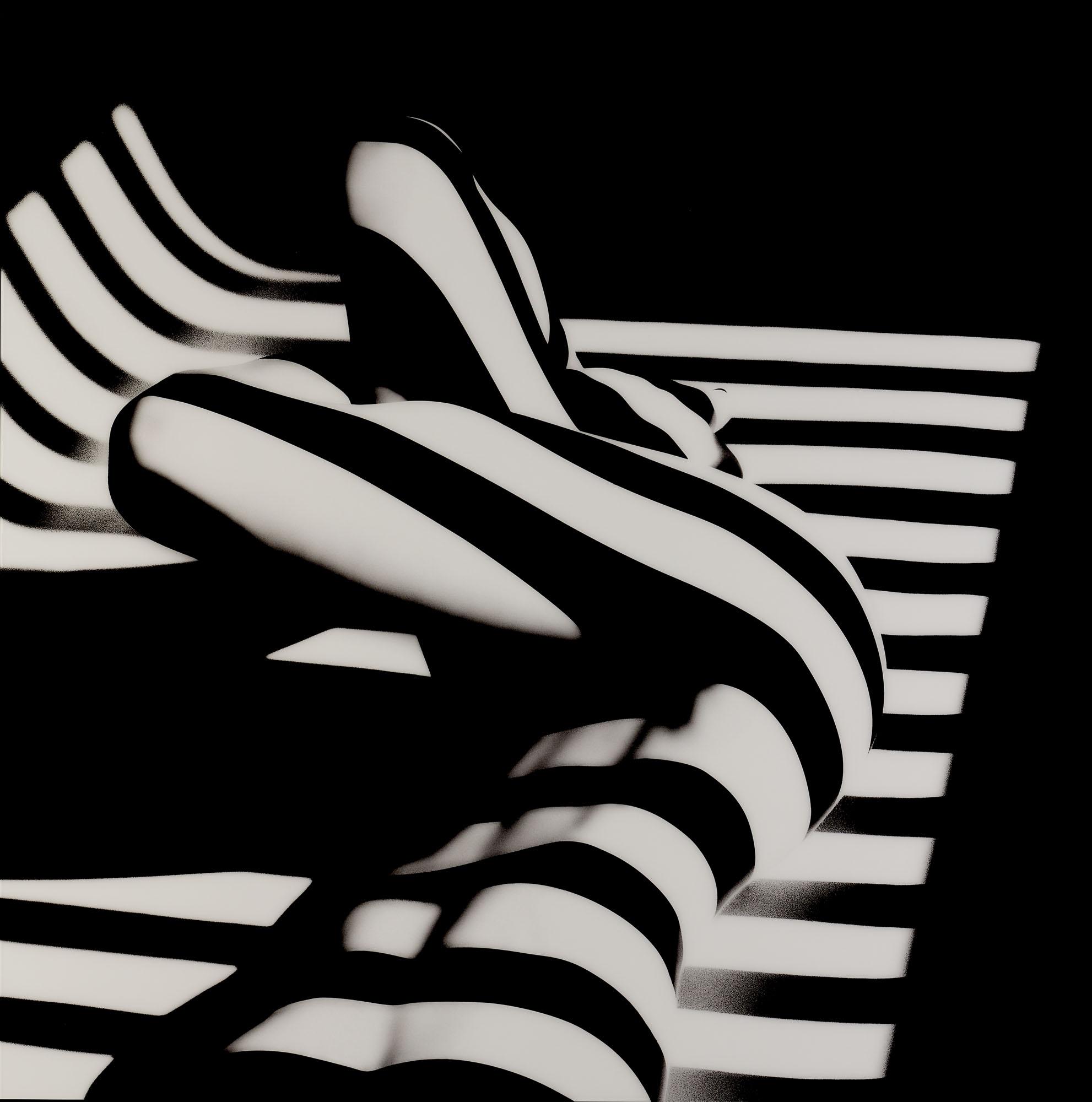 Francis Giacobetti - Zebra 14, 2000