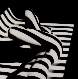 Francis Giacobetti - Zebra 14, 2000