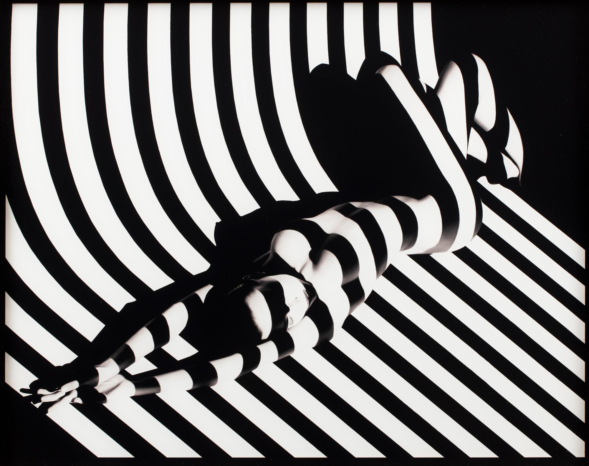 Francis Giacobetti - Zebra #17, 1988