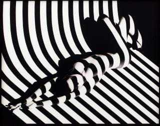 Francis Giacobetti - Zebra #17, 1988