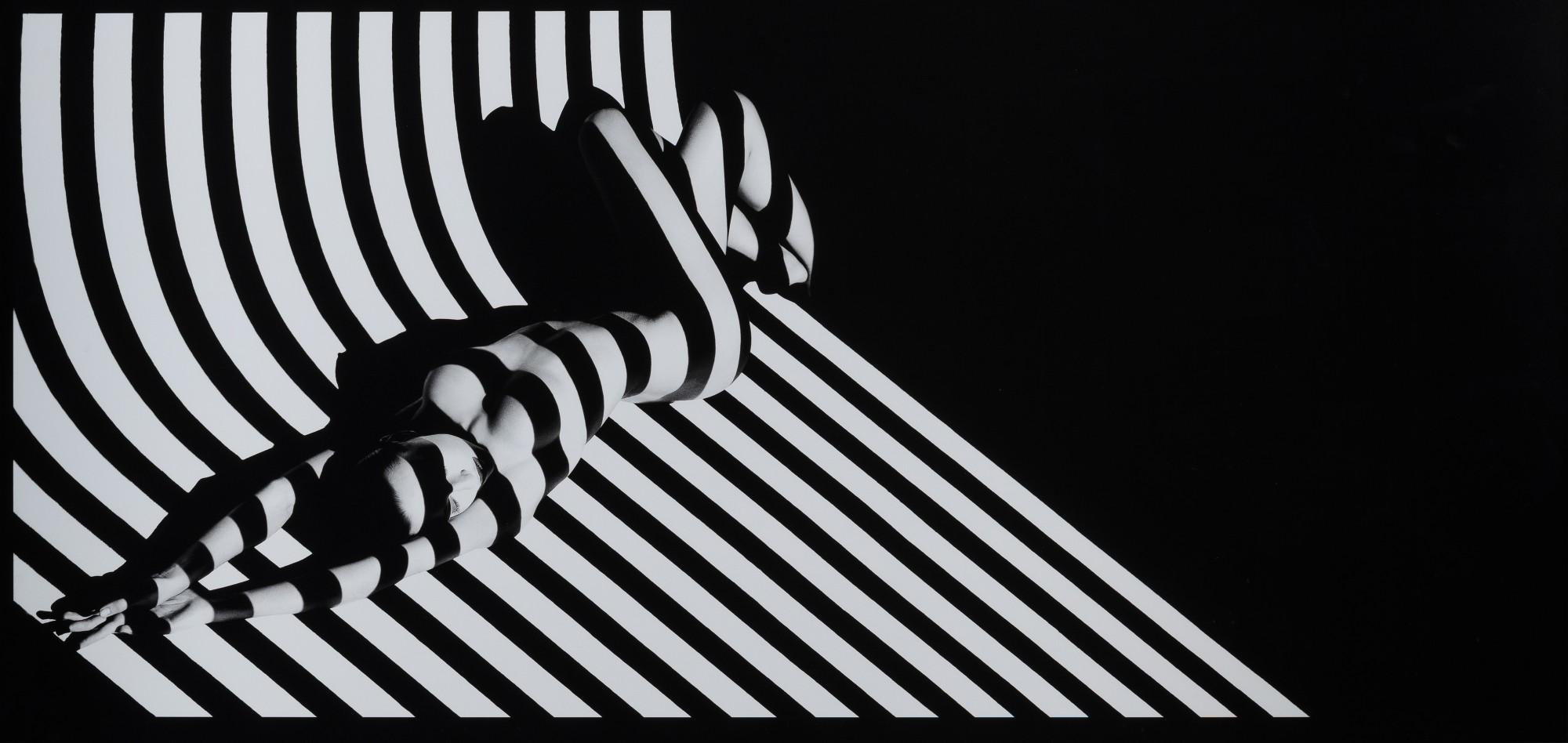 Francis Giacobetti - Zebra 17 version longue, 1988