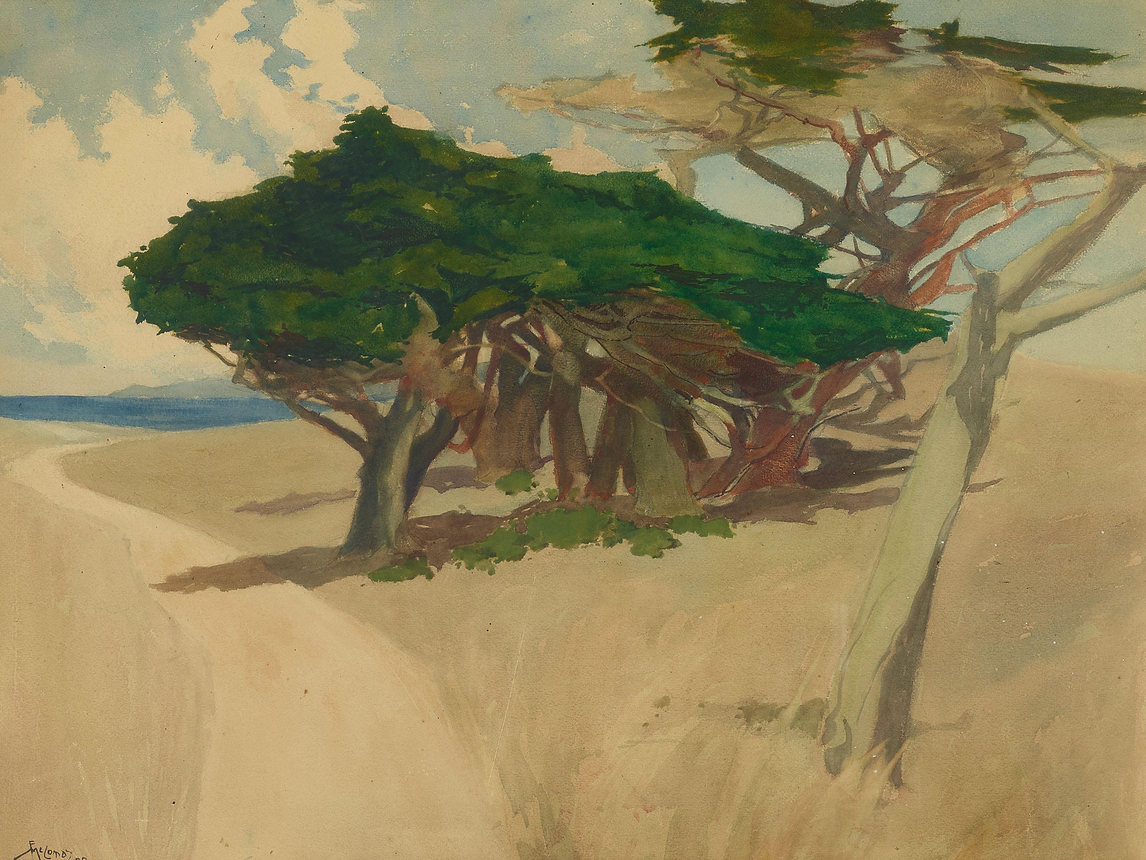 Francis John McComas - Monterey Cypress
