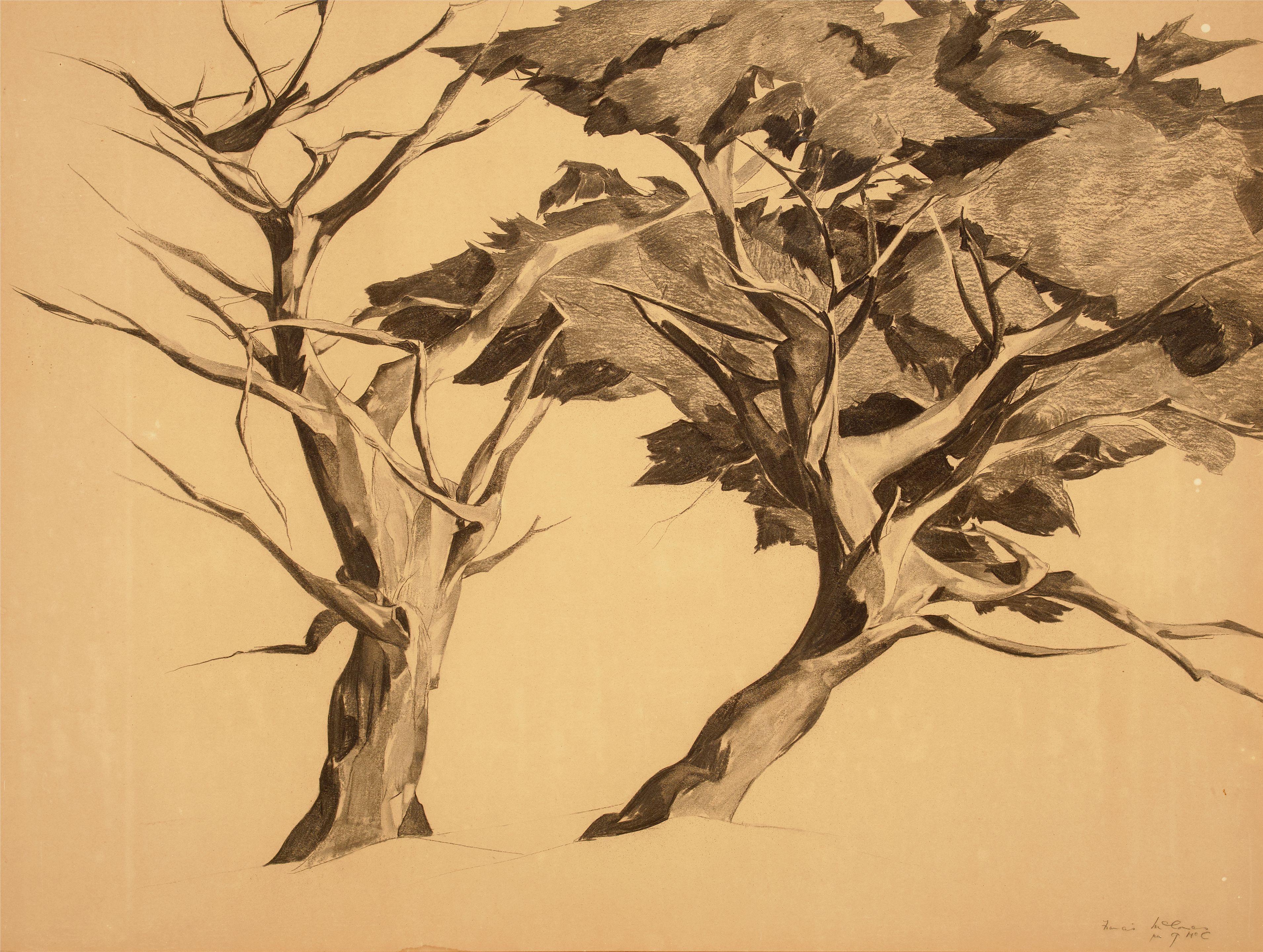 Francis John McComas - Monterey Trees sight 29 x 39 in. framed 44 x 54 in.