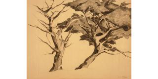 Francis John McComas - Monterey Trees sight 29 x 39 in. framed 44 x 54 in.