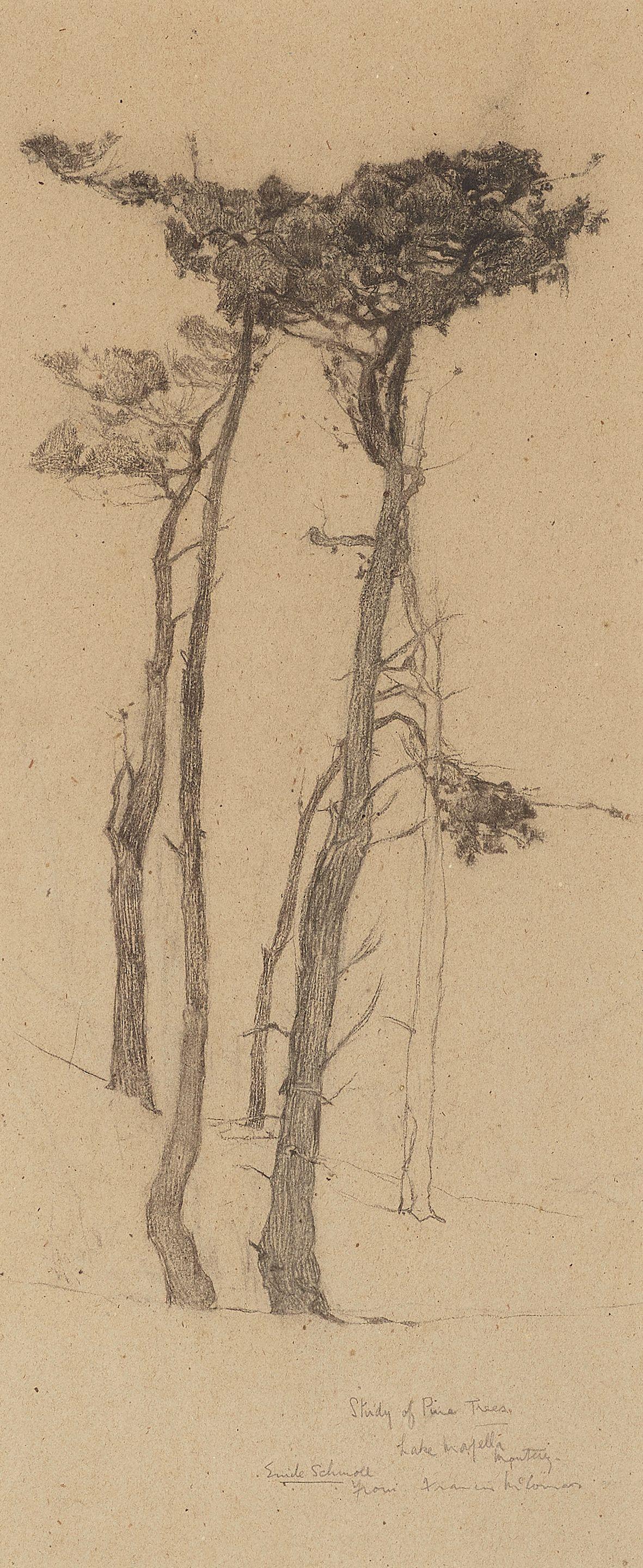Francis John McComas - Study of Pine Trees, Lake Majella, Monterey