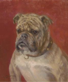 Francis L. Fairman - The head of a bulldog