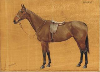 Francis Mabel Hollams - Batsey, A Saddled Liver Chestnut