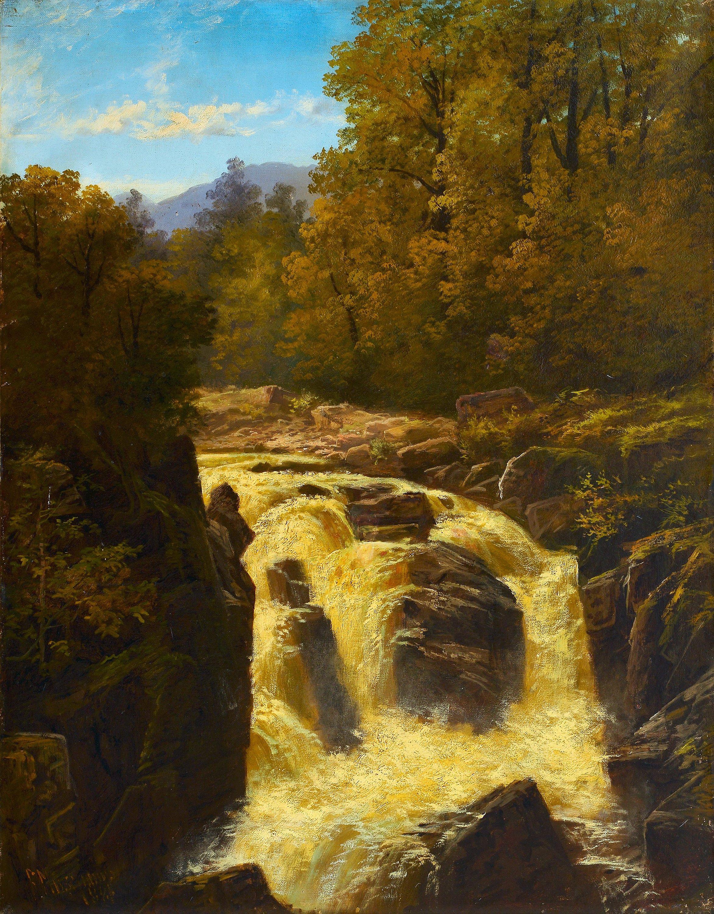 Francis Muschamp - Forsen