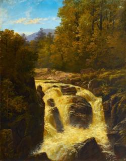 Francis Muschamp - Forsen