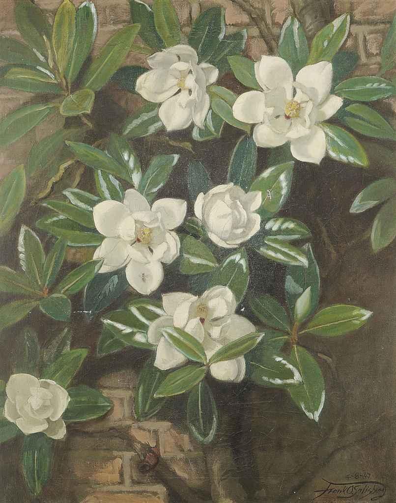 Francis Owen Salisbury - Magnolia (grown & painted by the artist)