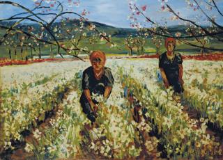 Francis Picabia - Champ de Narcisse