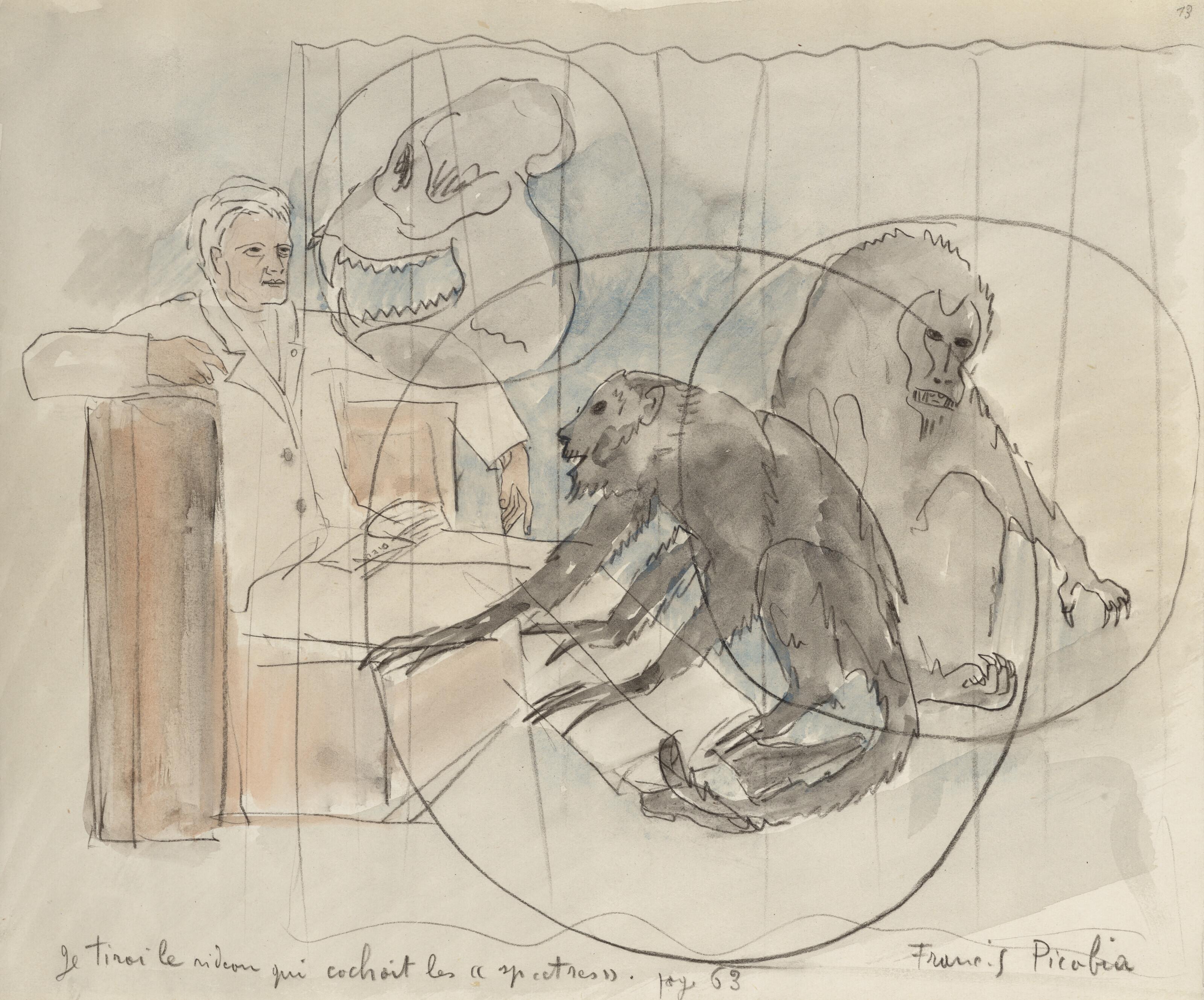 Francis Picabia - Je tirai le rideau qui cachait les \