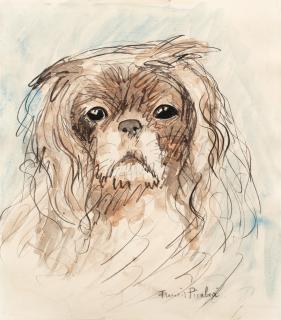 Francis Picabia - Sans Titre