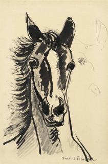Francis Picabia - Tête de cheval
