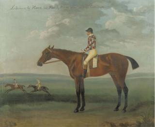Francis Sartorius The Elder - Laburnum, with jockey up
