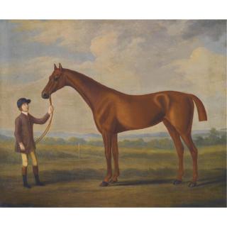 Francis Sartorius - A Chestnut Racehorse Held By A Stable Boy In A Landscape