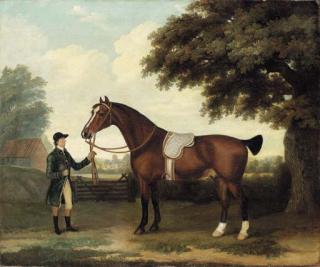 Francis Sartorius - A saddled bay hunter held by a groom
