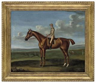 Francis Sartorius - Dolly with jockey up