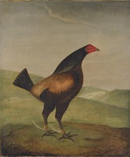 Francis Sartorius - Lord Egremont\'s Dauntless; a fighting cock in a landscape