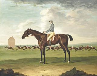 Francis Sartorius - Mr Henry Vernon\'S Bay Colt Minister By Camillus Out Of Sportley With Jockey Up At Newmarket, 1774
