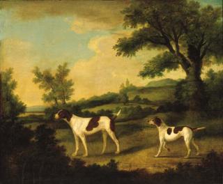 Francis Sartorius - Two Pointers In A Landscape