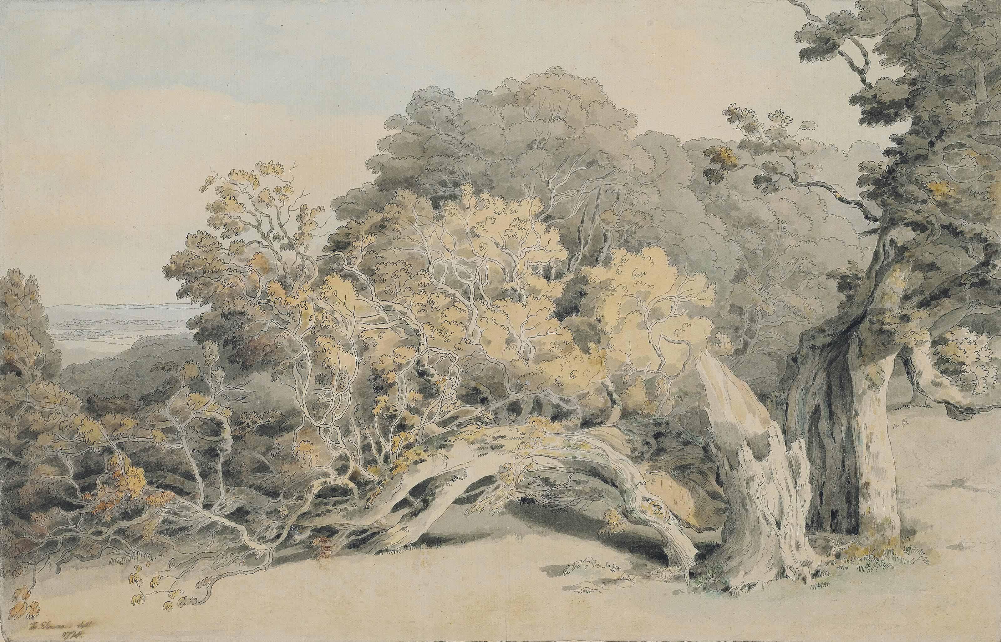 Francis Towne - A study of a tree blown down in Peamore Park, near Exeter