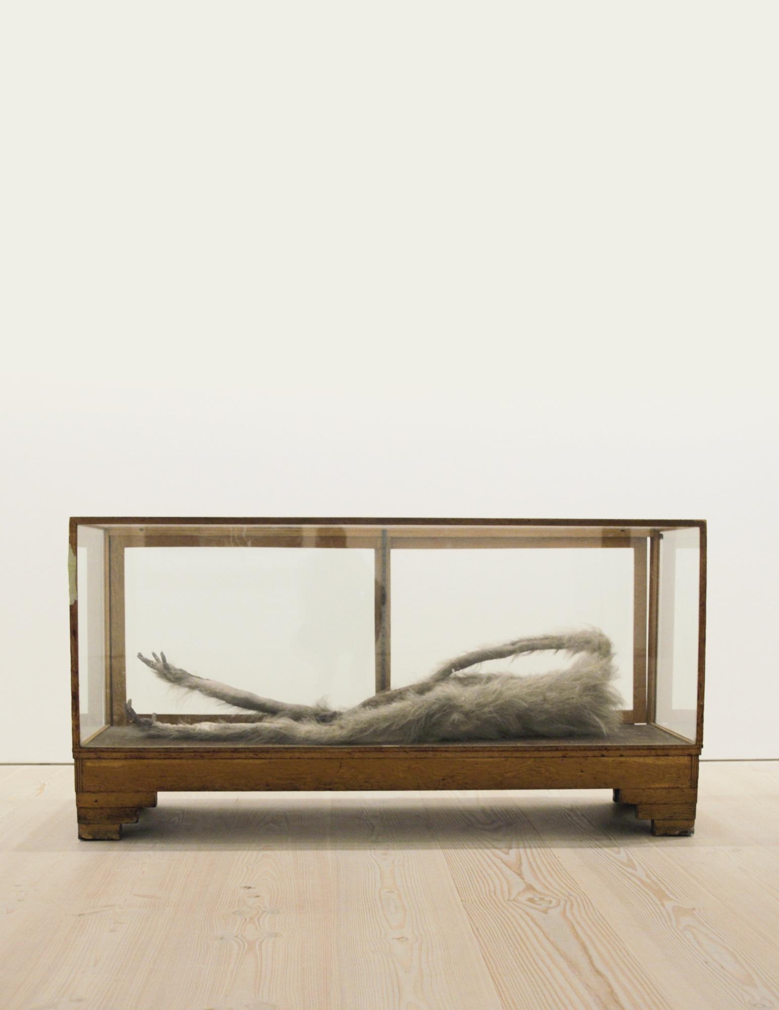 Francis Upritchard - Sloth