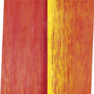 Francisca Sutil - Ieve