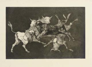Francisco de Goya y Lucientes - Al Toro y al Aire darles Calle, from Los Proverbios (D. 223; H. 269)
