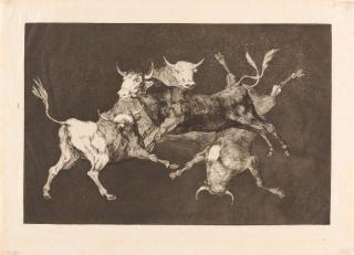 Francisco de Goya - Al Toro y al Aire darles Calle. (Lluvia de Toros).