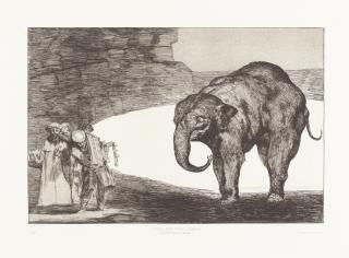 Francisco de Goya - Quien se pondrá el cascabel al gato? (Disparate de Bestia)