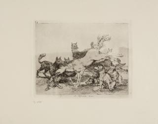 Francisco de Goya - Se defiende bien.