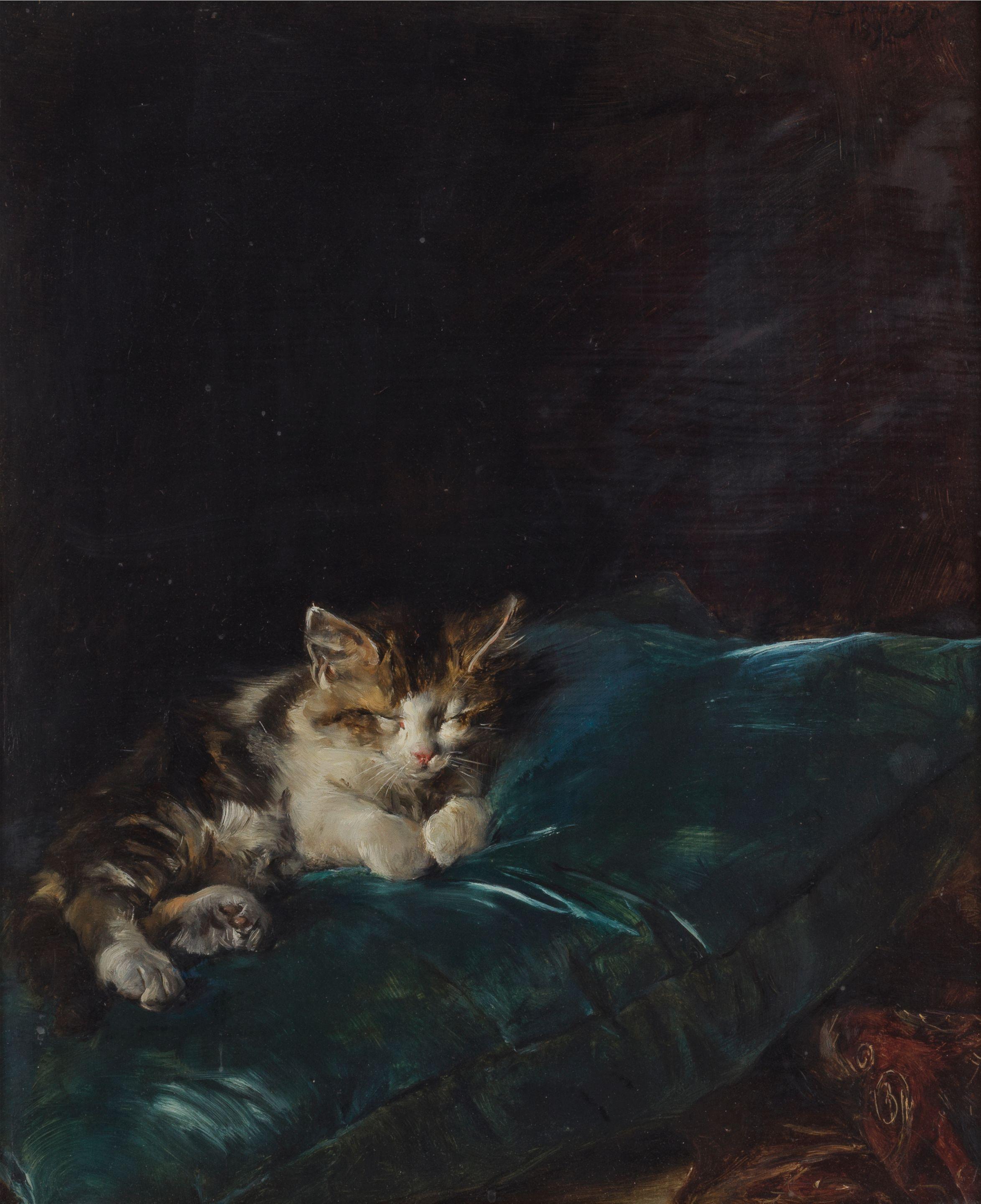 Francisco Domingo Marqués - Cat sleeping on a cushion