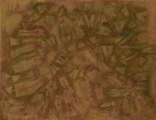 Francisco Toledo - Colas de iguana