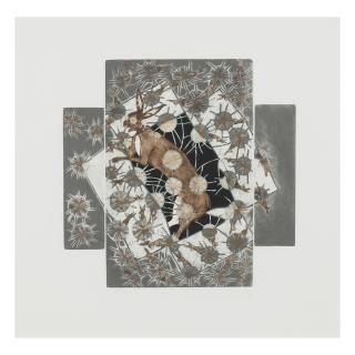 Francisco Toledo - La caja de conejos