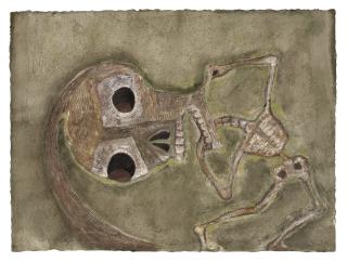 Francisco Toledo - La muerte agachada