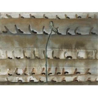 Francisco Toledo - Mi Primera Lección Botánica