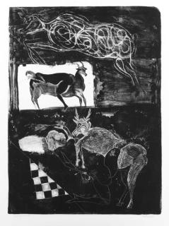 Francisco Toledo - [Untitled]