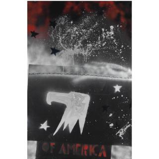 Franco Angeli - Aquila Americana 