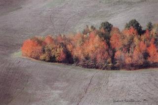 Franco Fontana - Herbstlandschaft