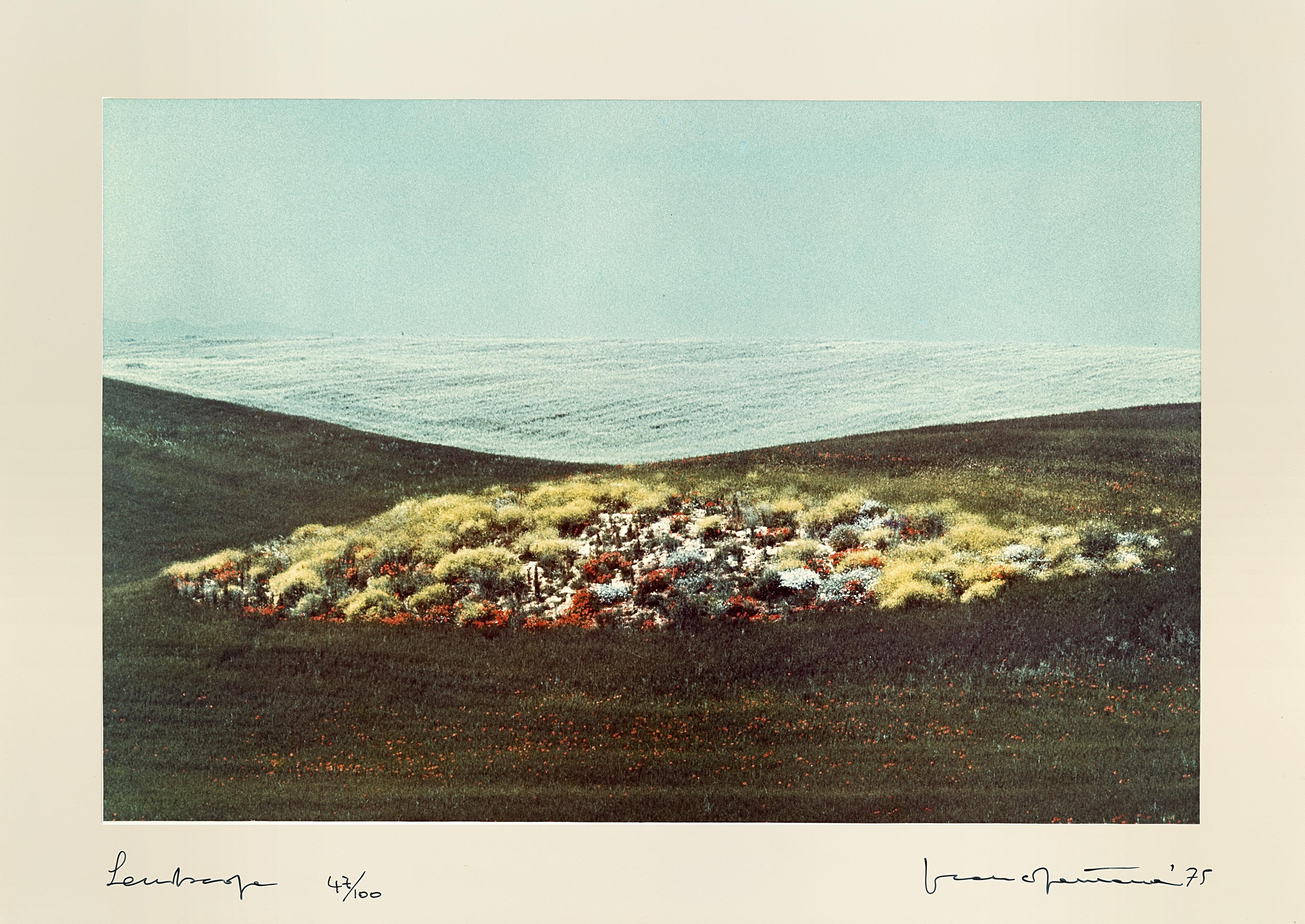 Franco Fontana - Landscape 1975