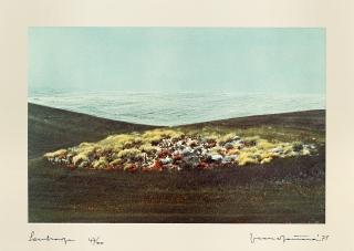 Franco Fontana - Landscape 1975