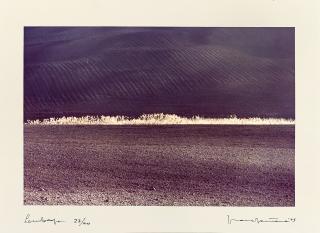 Franco Fontana - Landscape 1979