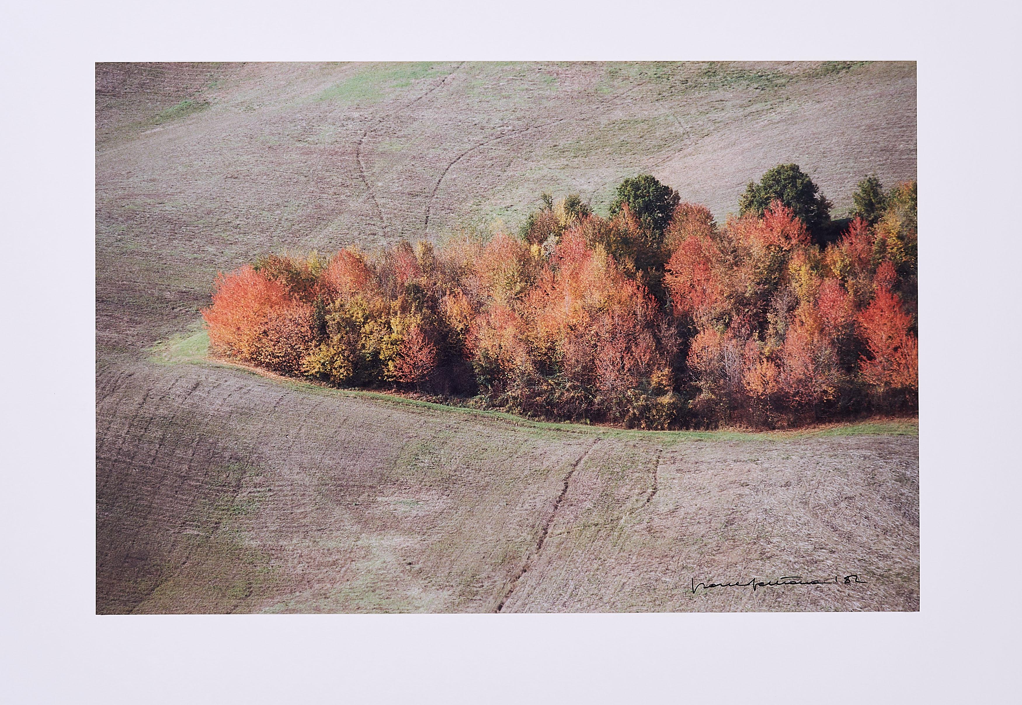 Franco Fontana - Ohne Titel.