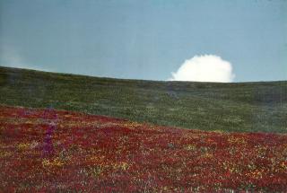 Franco Fontana - Paesaggio 1970