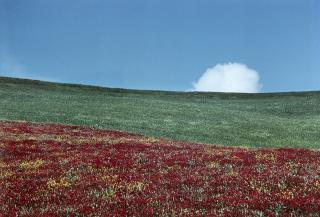 Franco Fontana - Paesaggio 1970