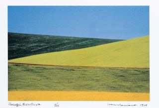 Franco Fontana - Paesaggio, Basilicata 1978
