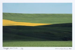 Franco Fontana - Paesaggio, Basilicata 1995